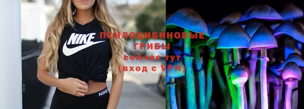 PSILOCYBIN Наволоки