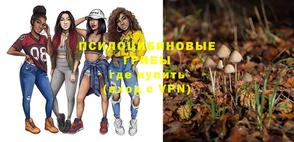 дмт Аркадак